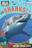 Animal Planet Chapter Books: Sharks!