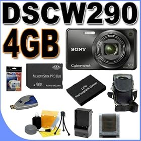 Sony Cybershot DSC-W290 12.1MP Digital Camera w/ 5x Optical Zoom and Super Steady Shot Image Stabilization (Black) 4GB BigVALUEInc Accessory Saver NPBG1 Battery/Rapid Charger Bundle + MORE