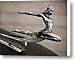 Art Deco Hood Ornament Canvas Print / Canvas Art - Artist Marilyn Hunt