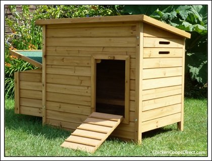 Chicken Coop -Neat And Tidy Wooden Design - Space 