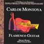 Flamenco Guitar
