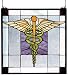 LAMPS BEAUTIFUL Tiffany Style Doctor Physician Medicine Stained Glass Window by Meyda Tiffany