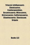 Triassic Ichthyosaurs: Shonisaurus, Cymbospondylus, Besanosaurus, Mixosaurus, Utatsusaurus, Californosaurus, Chaohusaurus, Shastasaur, Grippia
