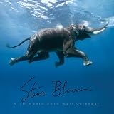 STEVE BLOOM S WILDLIFE 2010 Wall Calendar