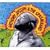 Bird Head Son