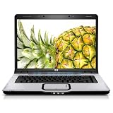 HP DV6325US Pavilion Entertainment 15.4 Laptop (AMD Turion 64 X2 Processor TL 52, 1 GB RAM, 120 GB Hard Drive, SuperMulti DVD Drive, Vista Premium)