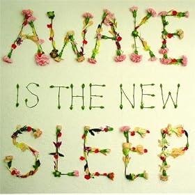 Awake is the new sleep by Ben Lee