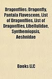 Dragonflies: Pantala Flavescens-