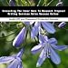 Book Unraveling The Inner Game To Research Proposal Writing Services Sales Success Online