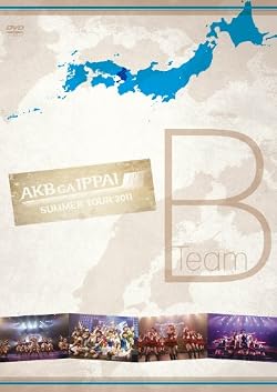 AKB48「AKBがいっぱい~SUMMER TOUR 2011~」TeamB [DVD]