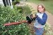 Outdoor Living : Remington 22-Inch Dual Action Bar 4 Amp Motor 3/4-Inch Cut Electric Hedge Trimmer #HT4022A