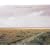 Richard Billingham: Landscapes: 2001-2003