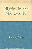 Pilgrim in the microworld