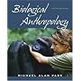 Biological Anthropology