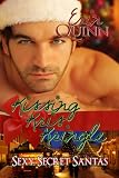 Kissing Kris Kringle (Sexy Secret Santas)