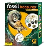 Fossil Treasures - Dig and Discover