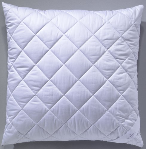 Billerbeck 5453290007 Naturkissen E45 Bamboo Kissen, 80 / 80 cm champagner Preisvergleich