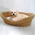 Tierbett Wasserhyazinthe gro�, Geflecht natur