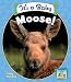 Search : It's a Baby Moose! (Baby Mammals)