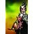 Stephen King's Dark Tower: The Gunslinger Born #5 (Marvel Comics)