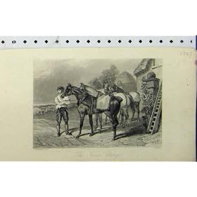 1847 Horses Jockey Country Scene Engraving Hacker