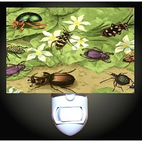 Garden Bugs Decorative Night Light by Unknown