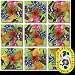 American Native Flowers Scramble Squares Puzzle 9pc