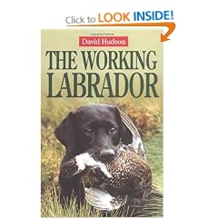 The Working Labrador