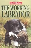 The Working Labrador