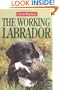 The Working Labrador