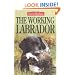 The Working Labrador