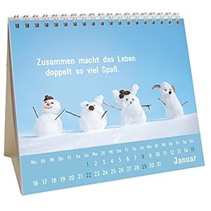 Der kleine Freundschaftskalender 2017: Mini-Monatskalender