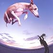 Flying Dog
