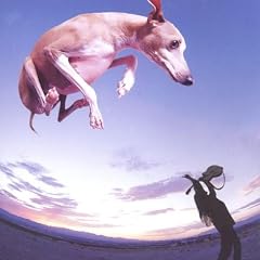Flying Dog
