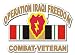 25th Infantry Division Iraq Combat Veteran Operation Iraqi Freedom OIF Decal Sticker 5.5"