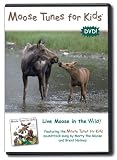 Moose Tunes for Kids:  Live Moose in the Wild!