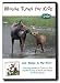 Moose Tunes for Kids: Live Moose in the Wild!