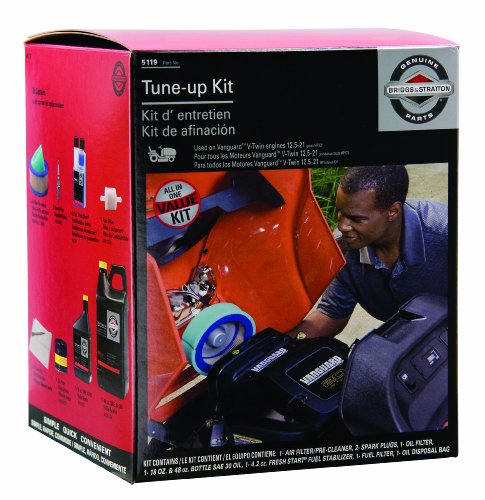 Briggs & Stratton Tune-Up Kit 5119B