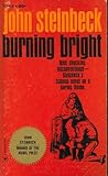 Burning bright : a play in story form
