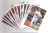 2010 Topps Baseball Cards Cincinnati Reds Team Set Update (Series 3) -13 Cards including Brandon Phillips, Joey Votto, Scott Rolen, Jordan Smith Rookie Card, Sam LeCure Rookie Card, Travis Wood Rookie Card, Chris Heisey Rookie Card & more!