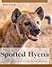 The Spotted Hyena: A Study of Predation and Social Behavior
