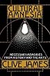 Cultural Amnesia: Necessary Memories from History and the Arts