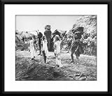When Dinosaurs Ruled The Earth Framed And Matted 8x10 B&W Photo (Victoria Vetri)
