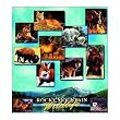Rocky Mountains Wildlife, Colorado Coverlet