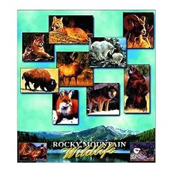 Rocky Mountains Wildlife, Colorado Coverlet