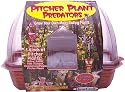Pitcher Plant Predators