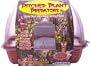 DuneCraft Windowsill Greenhouses - Picther Plant Predators