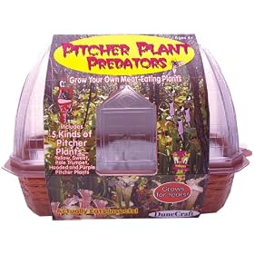 Pitcher Plant Predators