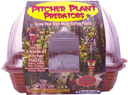DuneCraft Windowsill Greenhouses Picther Plant Predators 51jdLSNdNfL DuneCraft Windowsill Greenhouses Picther Plant Predators