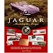 Jaguar: Marketing the Marque: The history of Jaguar seen through its advertising, brochures and catalogues